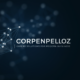 Corpenpelloz | Expert Solutions for Modern Businesses